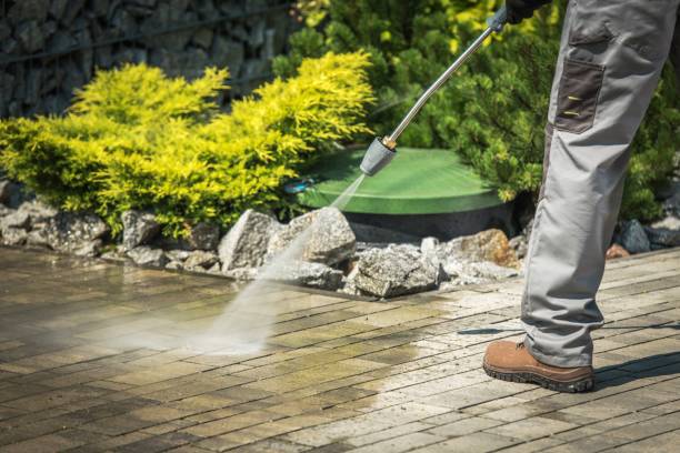 Best Brick and Stone Cleaning in Live Oak, TX